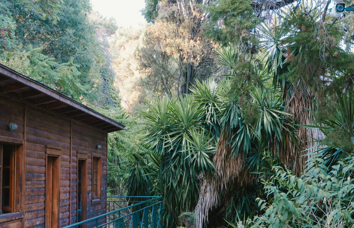 California