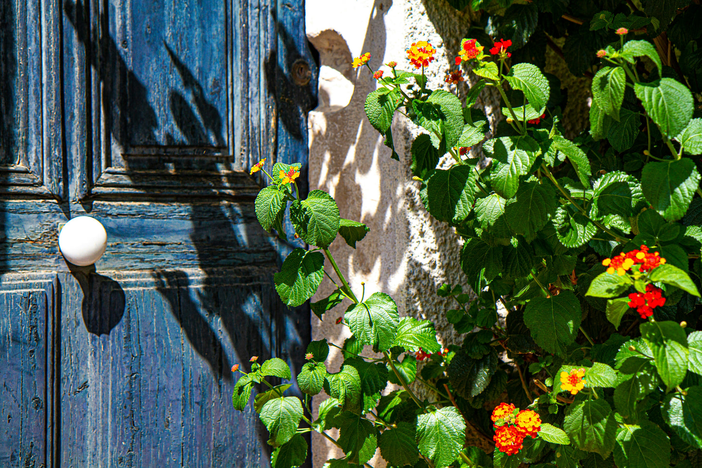 Provence