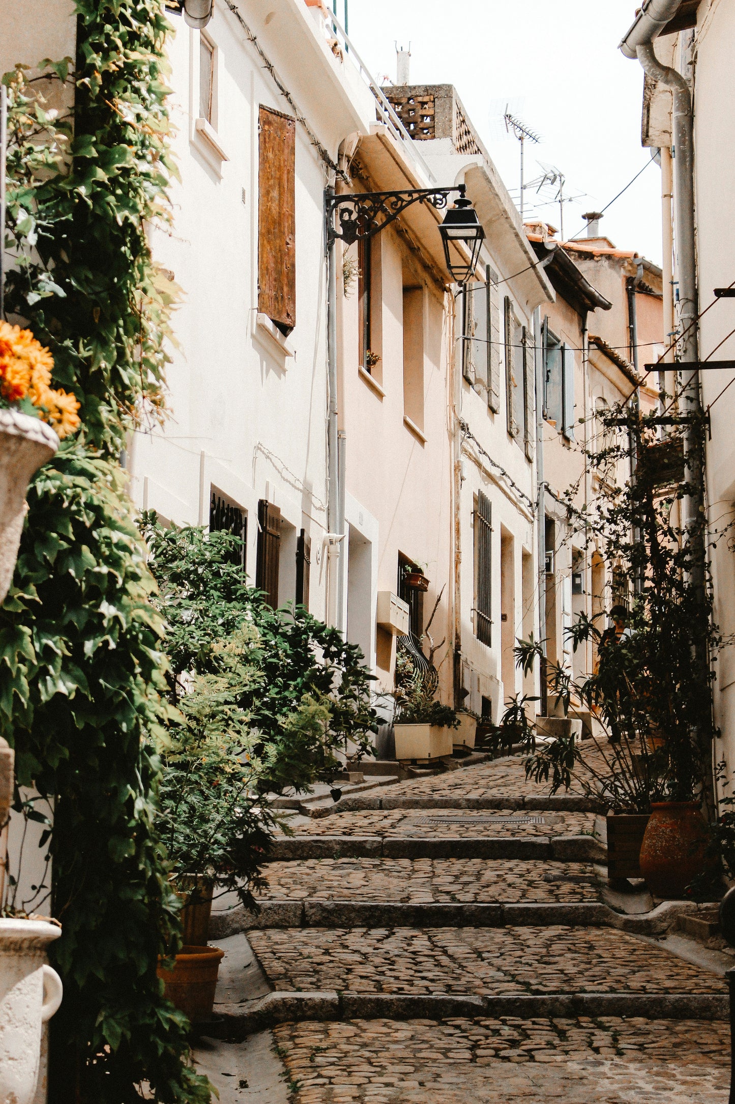 Provence